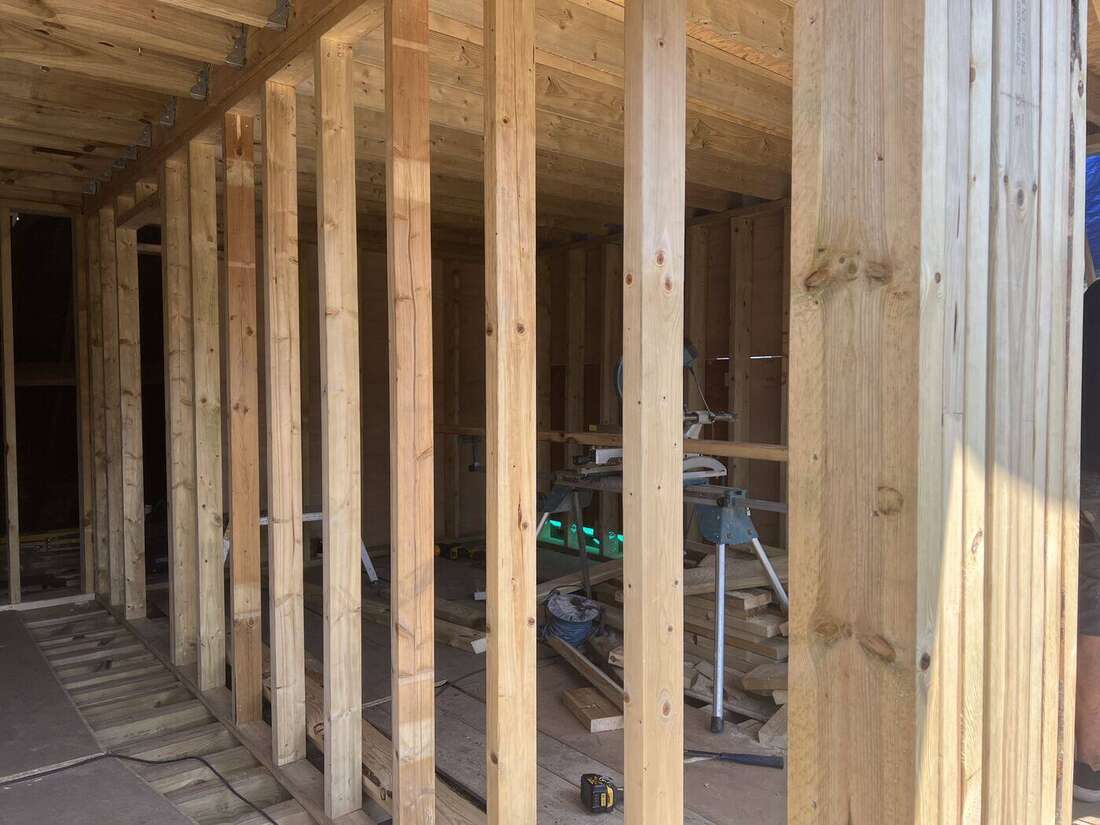 Timber stud walls and rafters going up